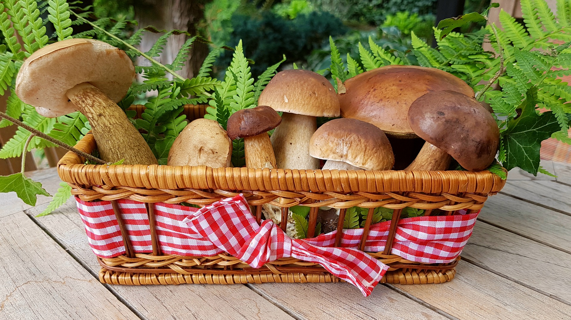 Are mushrooms low carb and keto friendly?